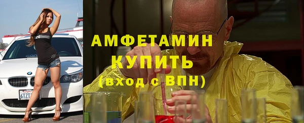 прущие грибы Аркадак