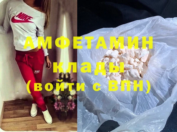 прущие грибы Аркадак