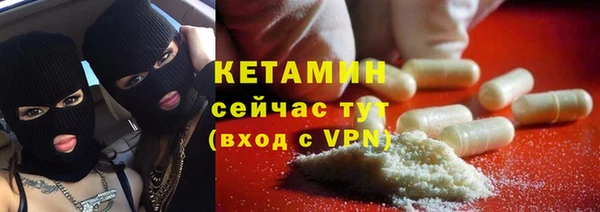 прущие грибы Аркадак