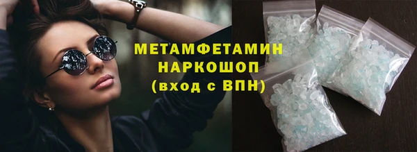 прущие грибы Аркадак
