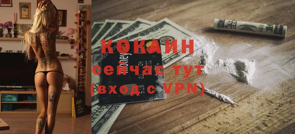 прущие грибы Аркадак