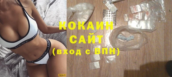 прущие грибы Аркадак