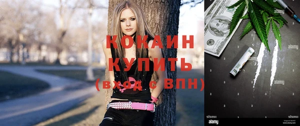 прущие грибы Аркадак