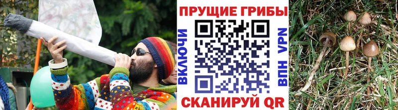 Галлюциногенные грибы ЛСД  купить   Лысково 